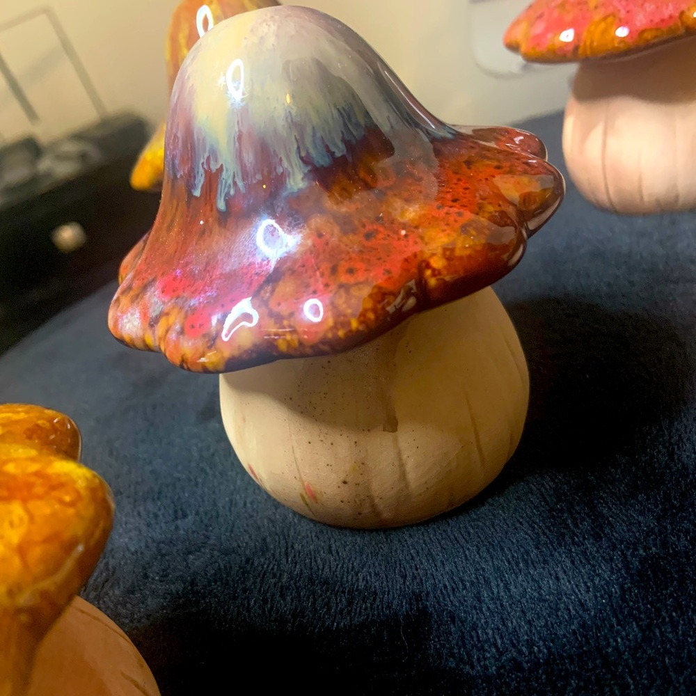 Garden Mushrooms